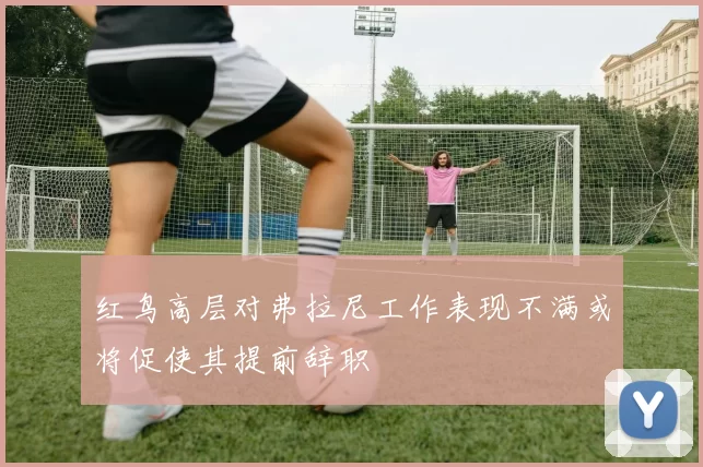 红鸟高层对弗拉尼工作表现不满或将促使其提前辞职